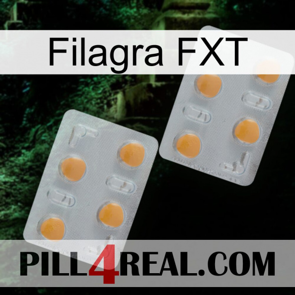 Filagra FXT 25.jpg